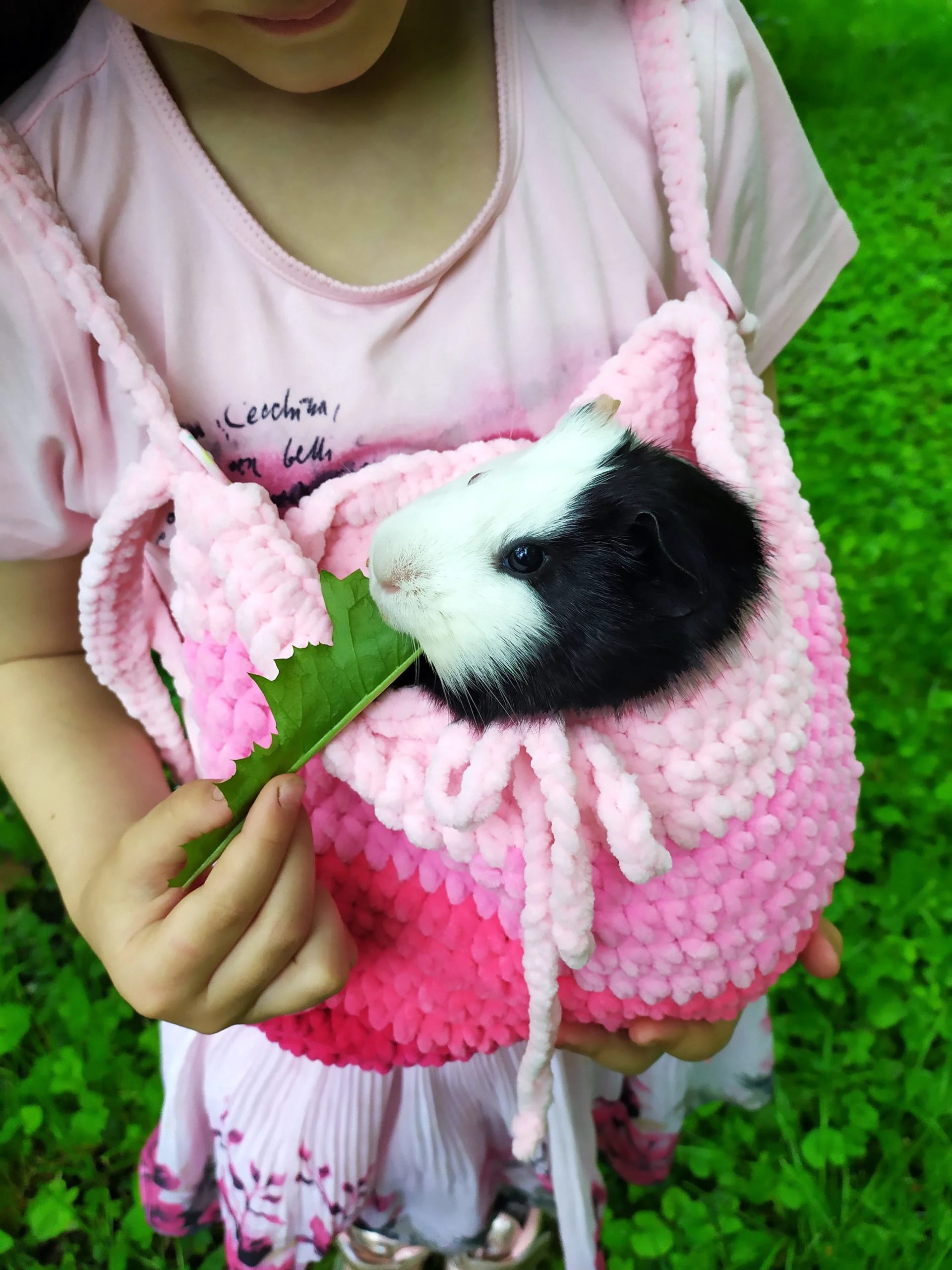 Gradient pink sweet knitted pet bag - Image 5