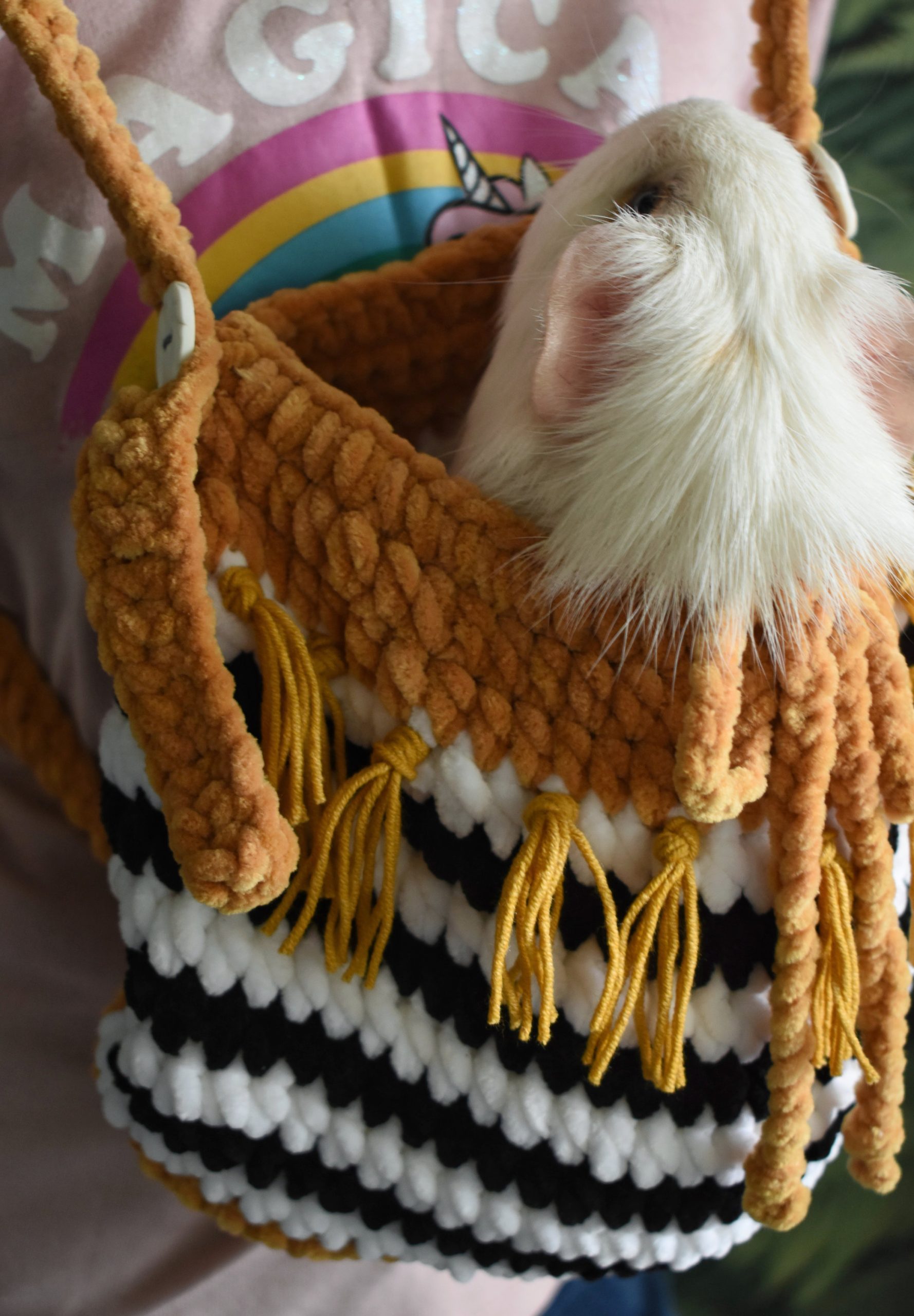 Bohemian Tassel Knitted Pet Bag - Image 3