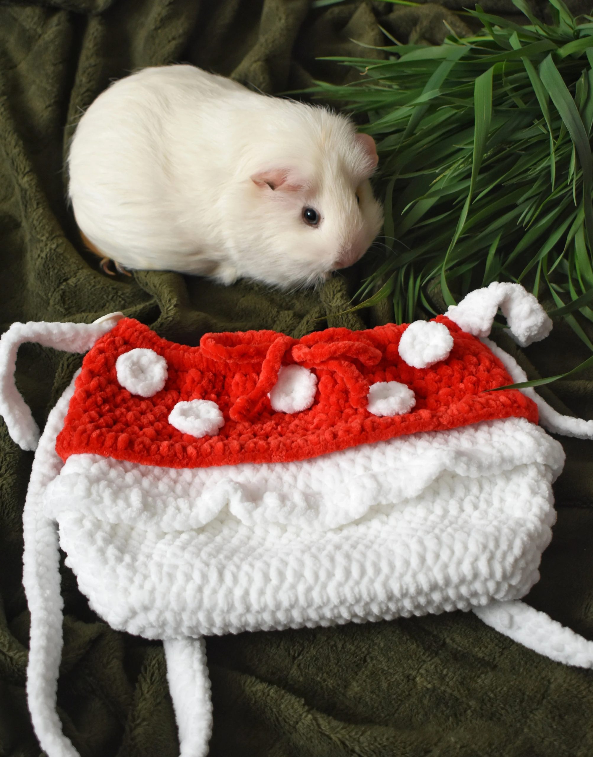 Christmas Berry Knitted Pet Bag - Image 8