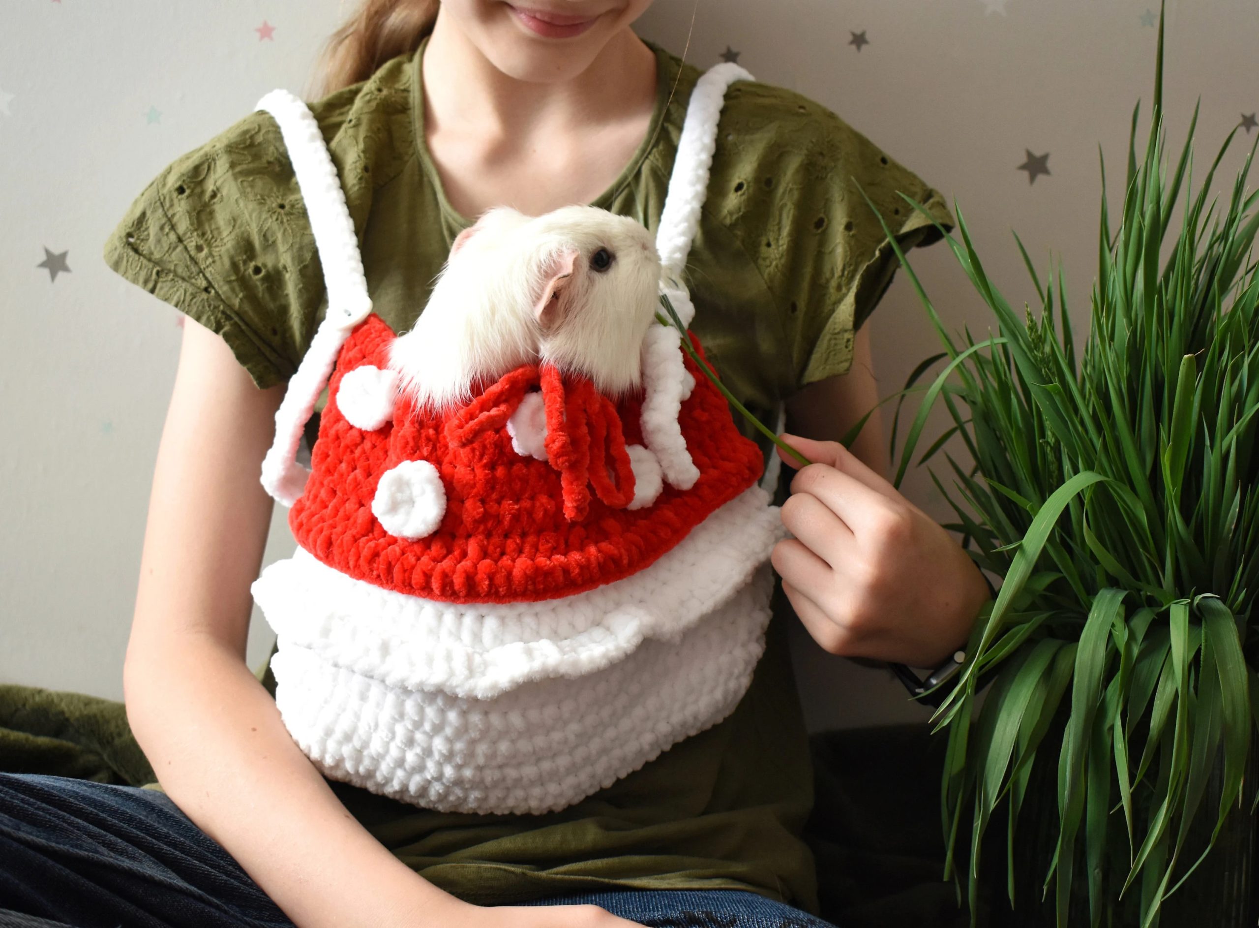 Christmas Berry Knitted Pet Bag