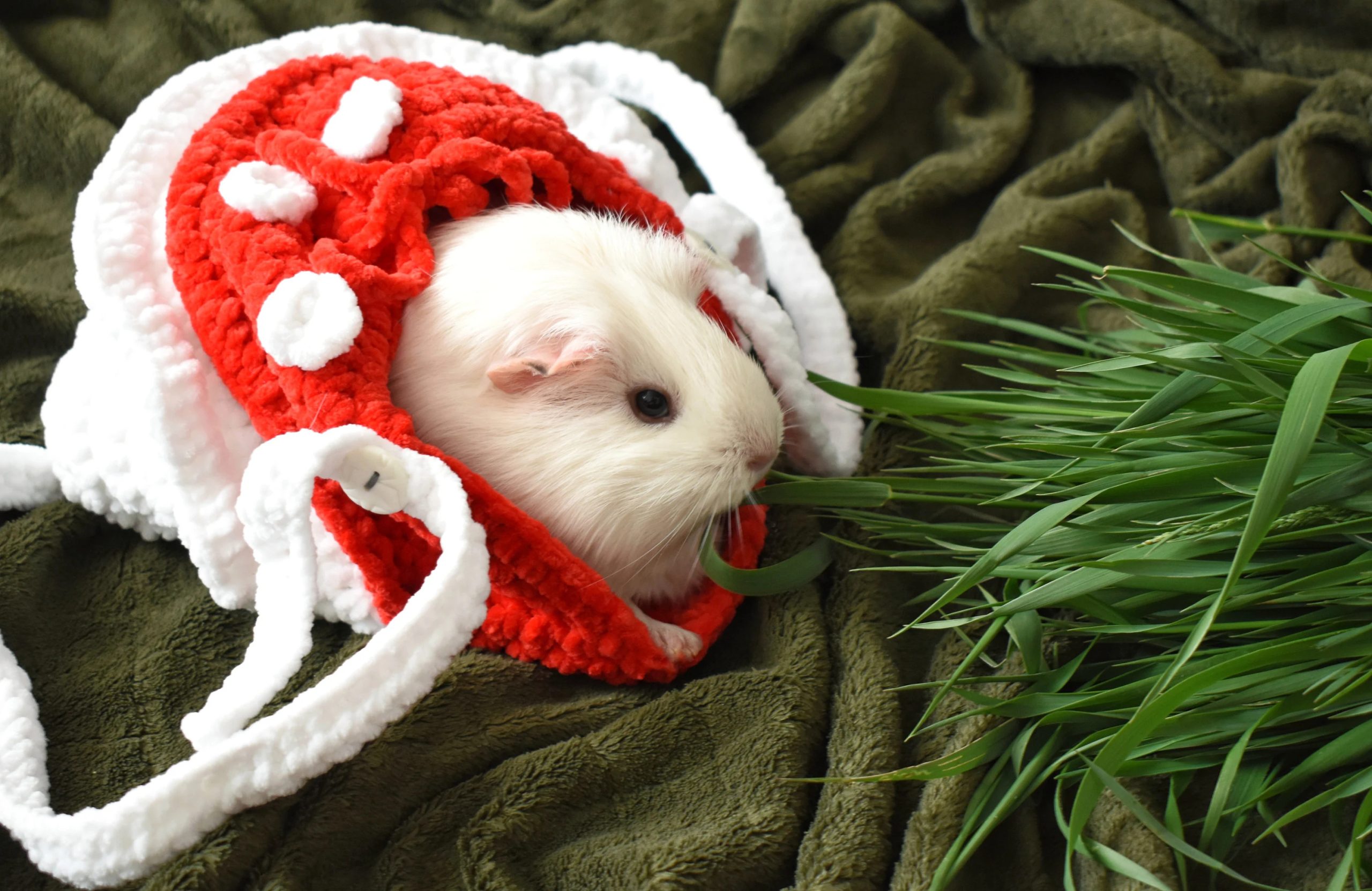 Christmas Berry Knitted Pet Bag - Image 4