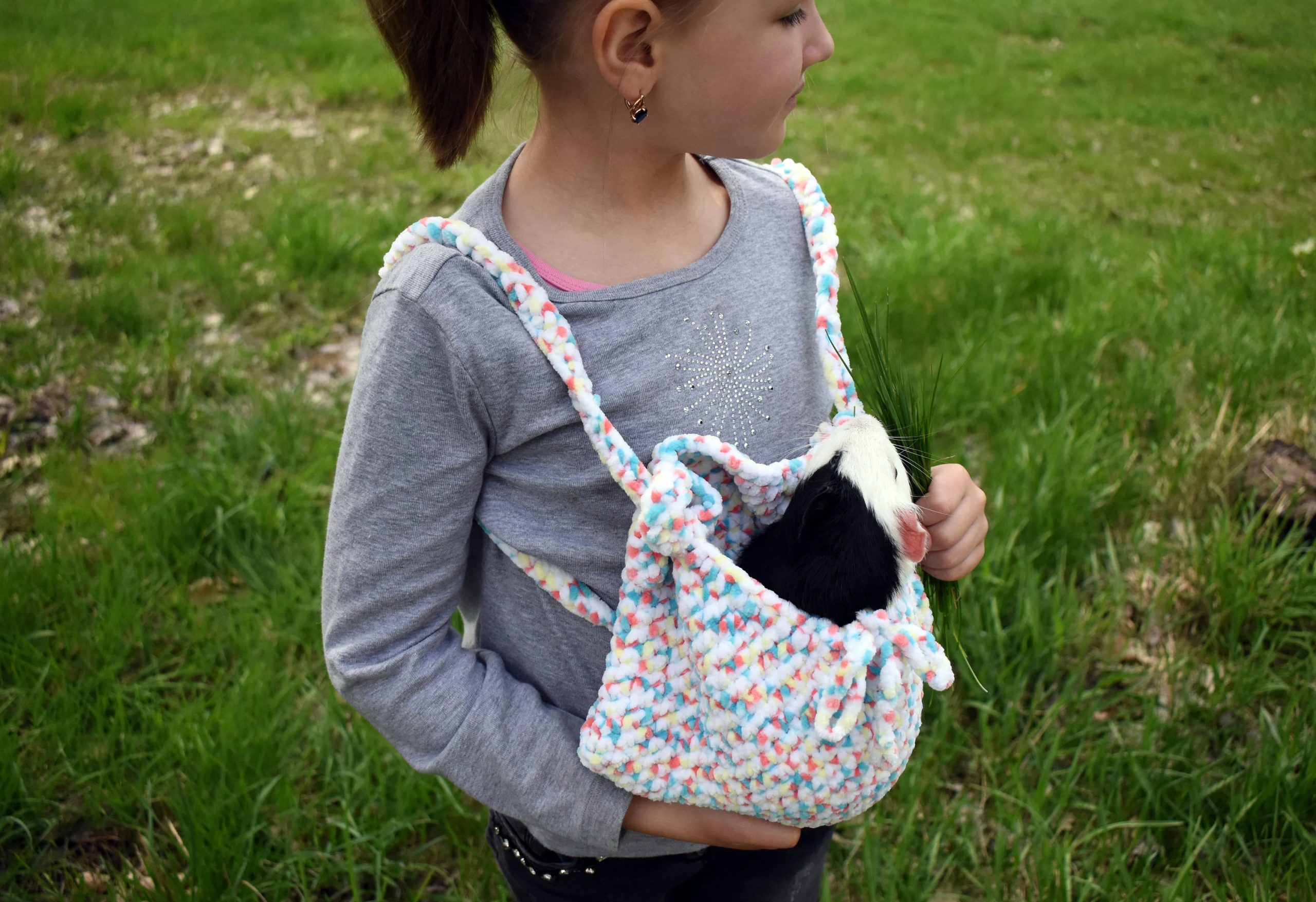 Rainbow Candy Blended Pet Bag - Image 7