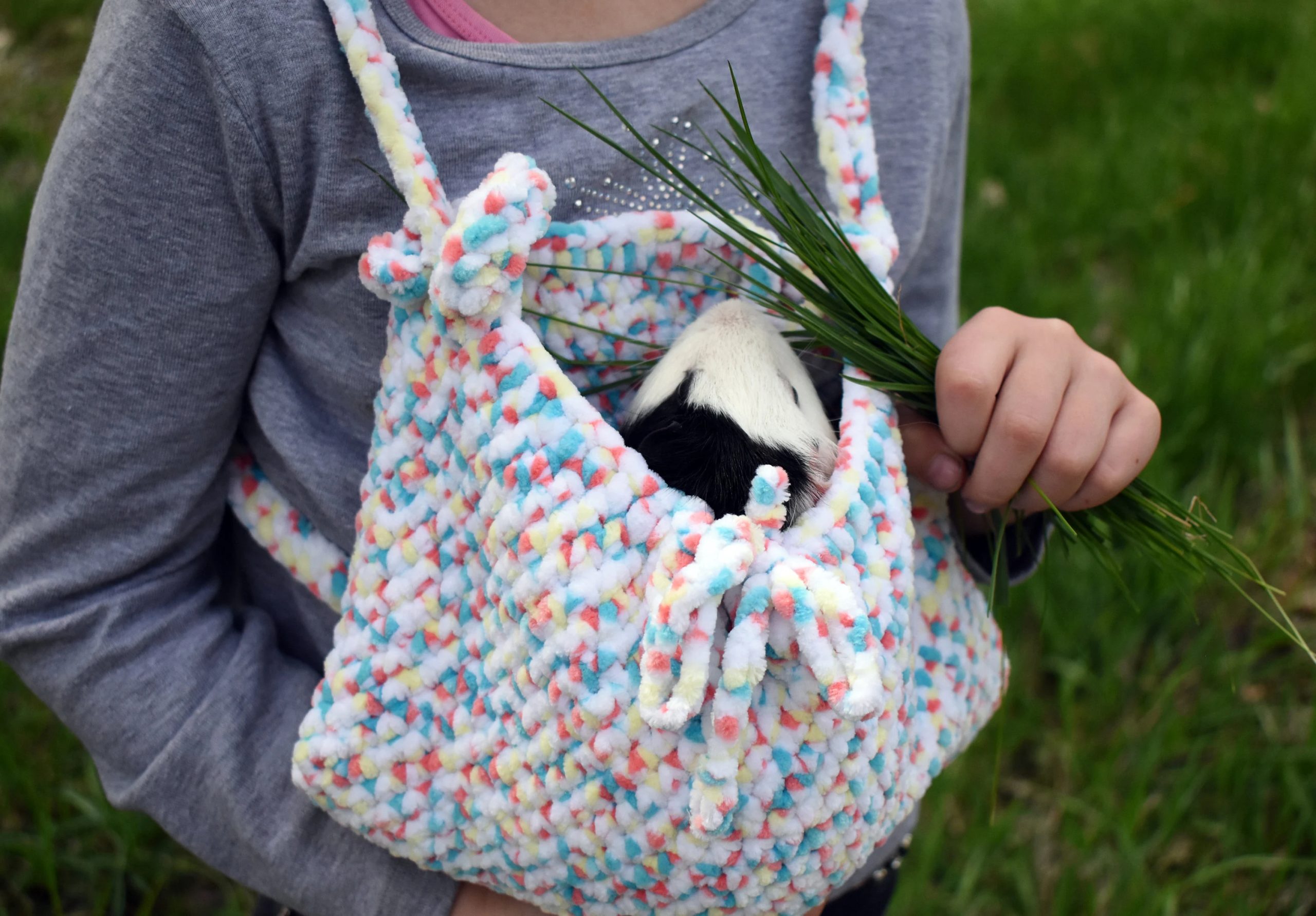 Rainbow Candy Blended Pet Bag