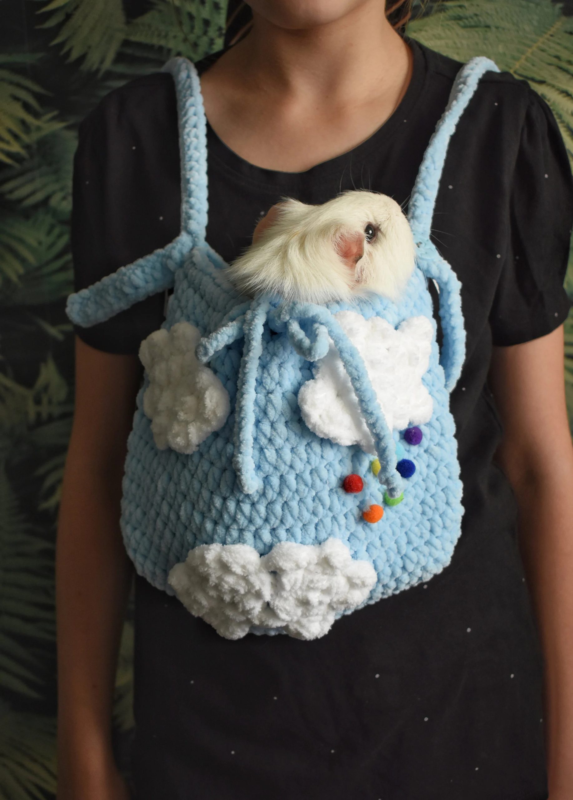 Cloud Rainbow Knitted Pet Bag