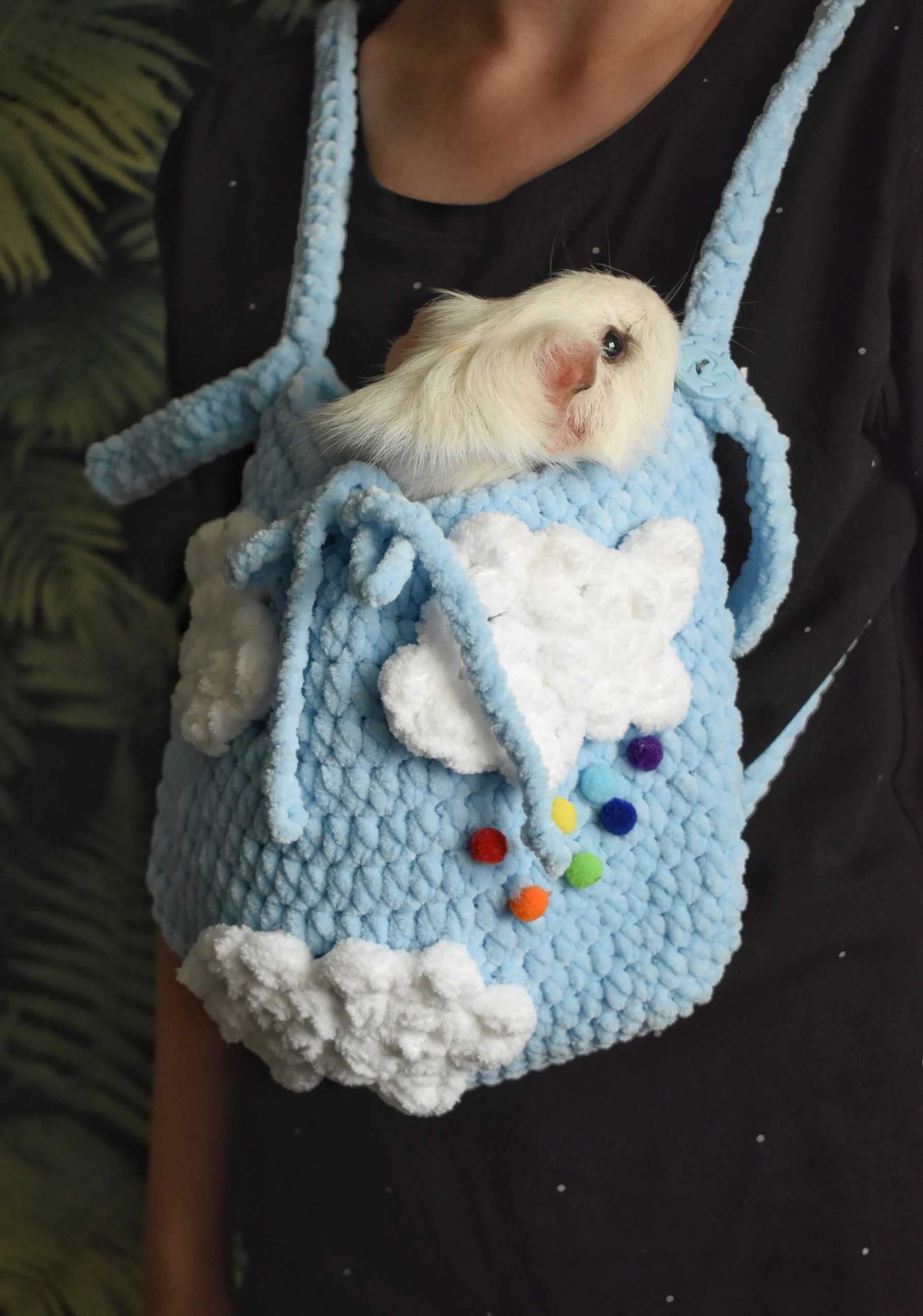Cloud Rainbow Knitted Pet Bag - Image 4