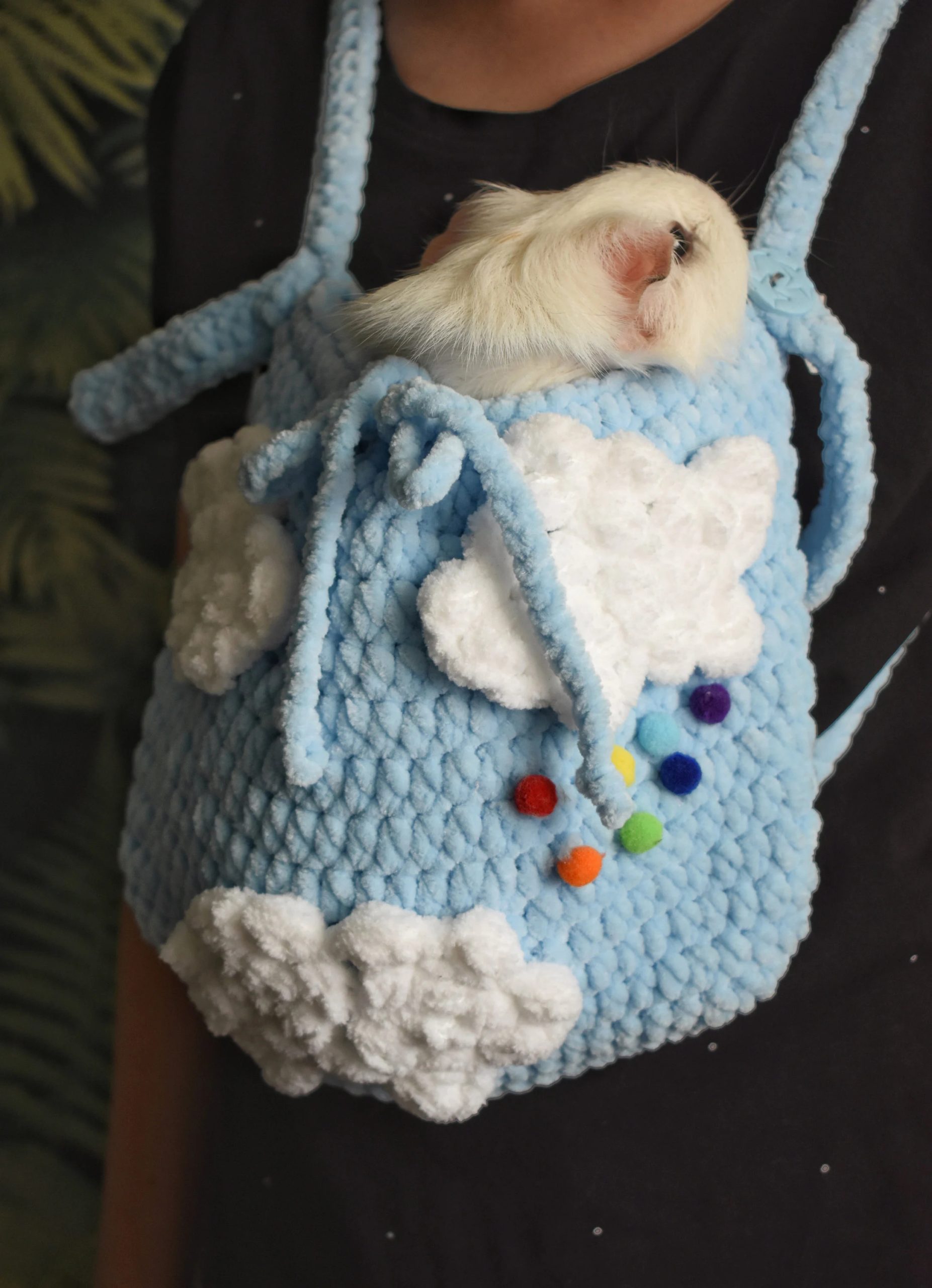 Cloud Rainbow Knitted Pet Bag - Image 3
