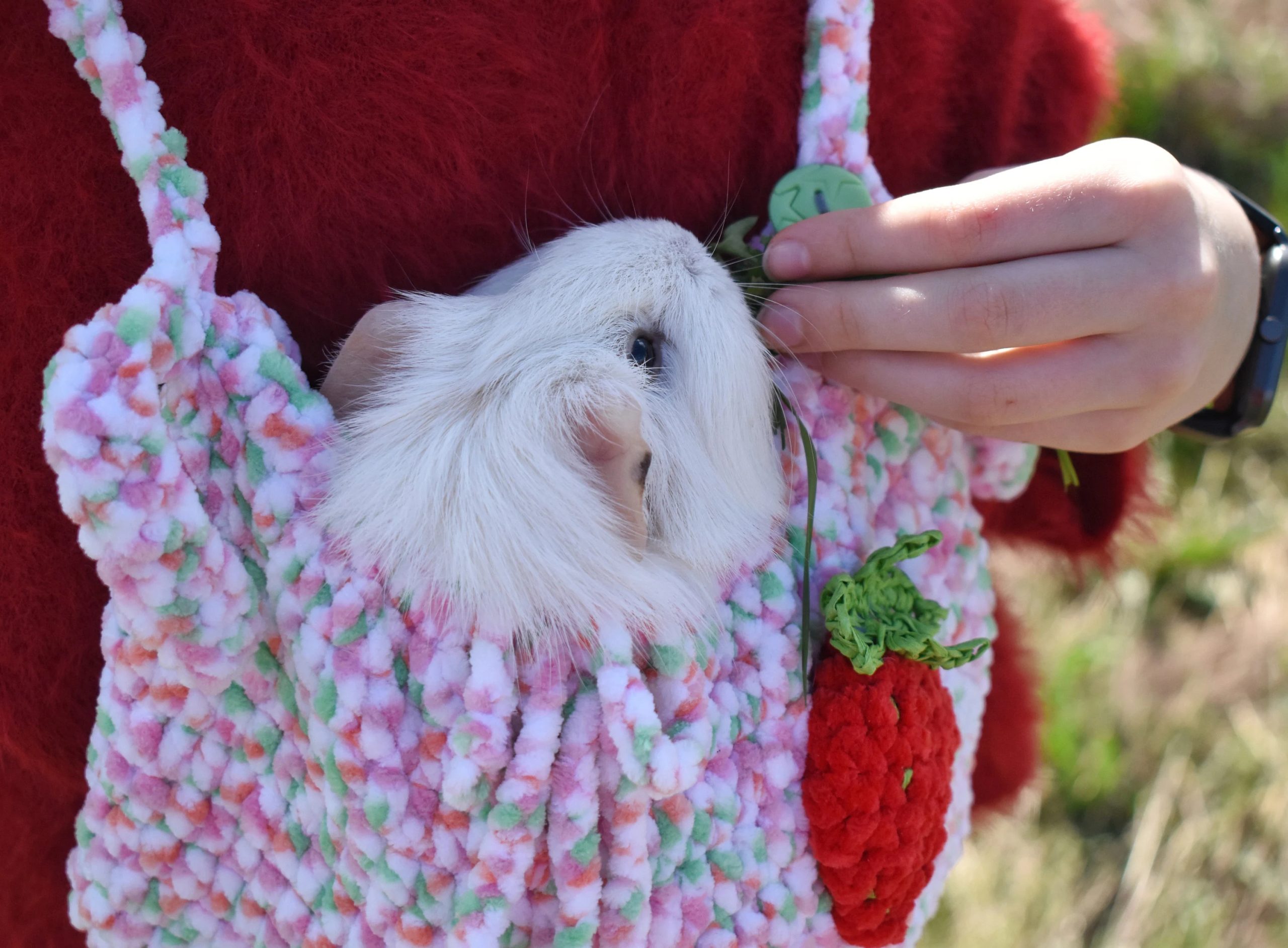 Hand-knitted pet travel bag - Image 5