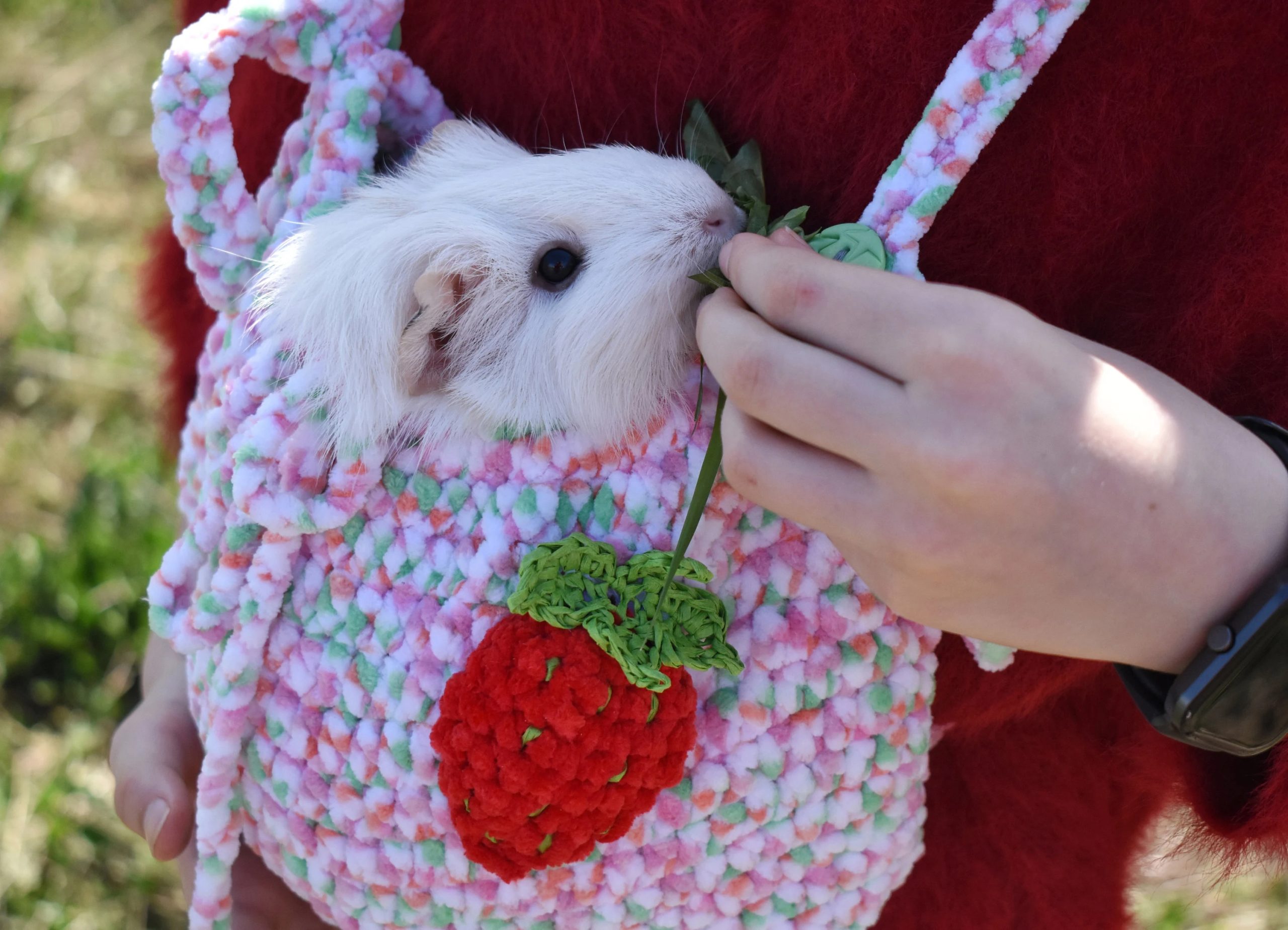 Hand-knitted pet travel bag - Image 2