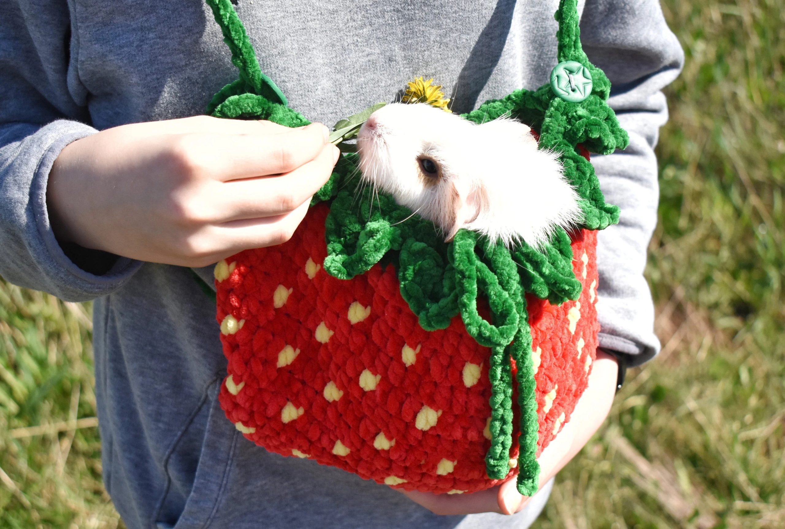 Strawberry Crit Knitted Pet Bag