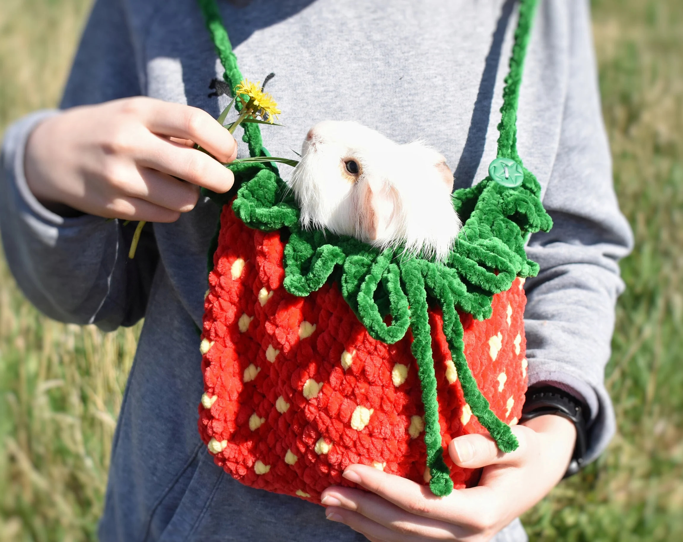 Strawberry Crit Knitted Pet Bag - Image 6