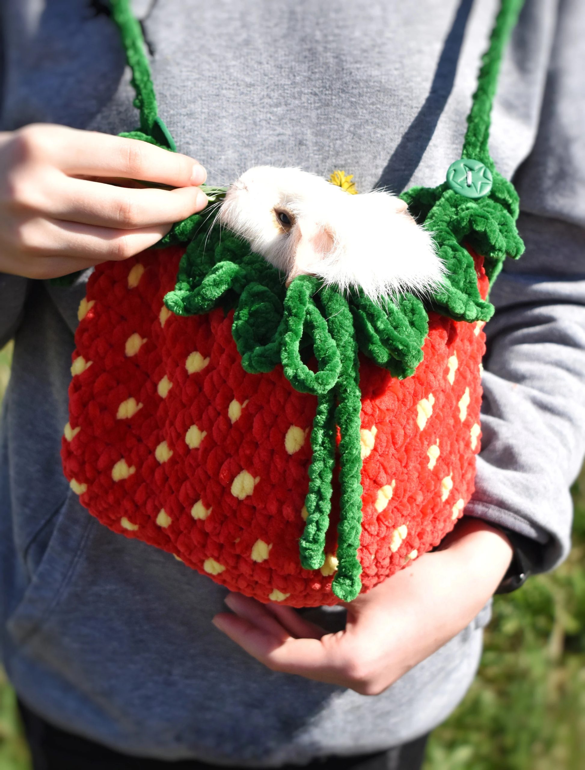 Strawberry Crit Knitted Pet Bag - Image 5