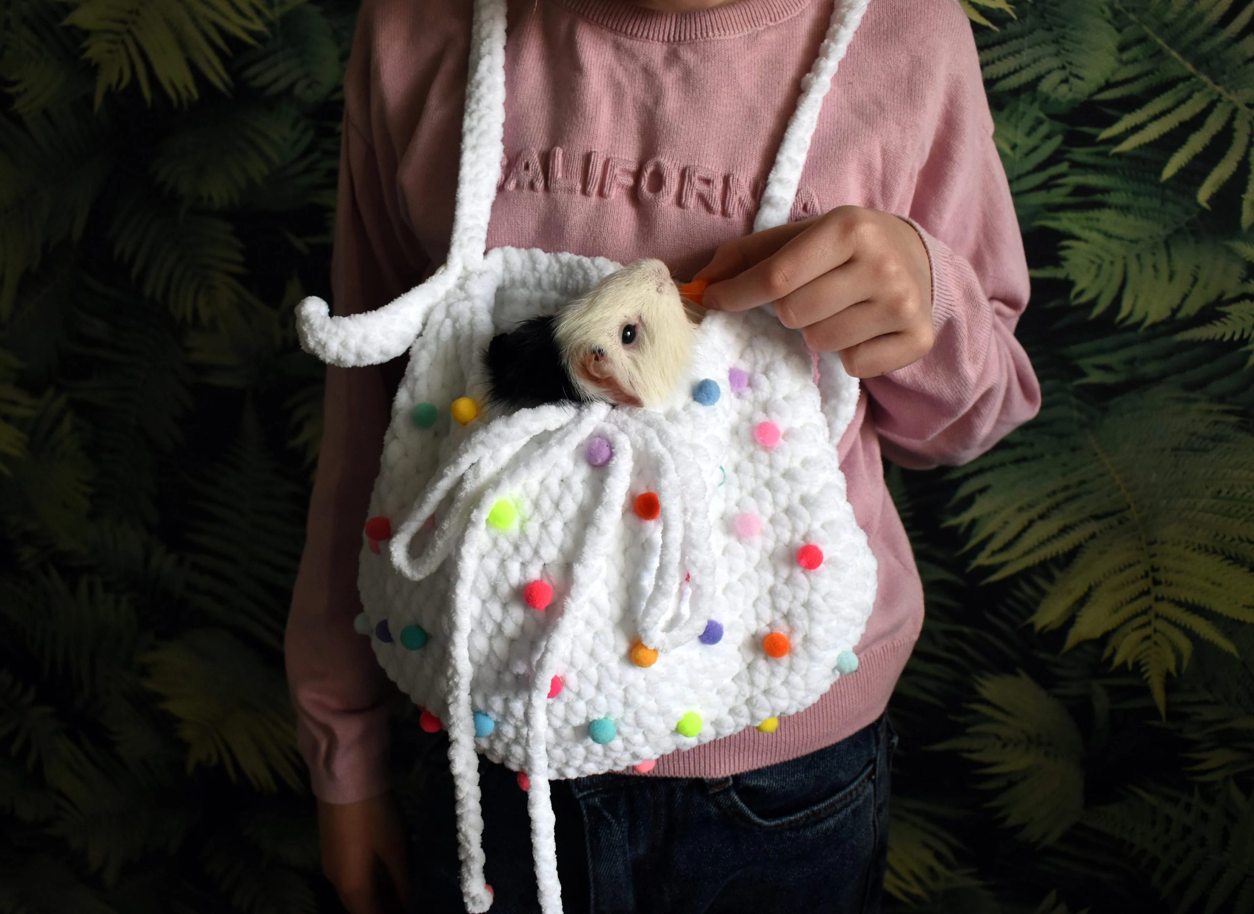 Rainbow Candy Knitted Pet Bag