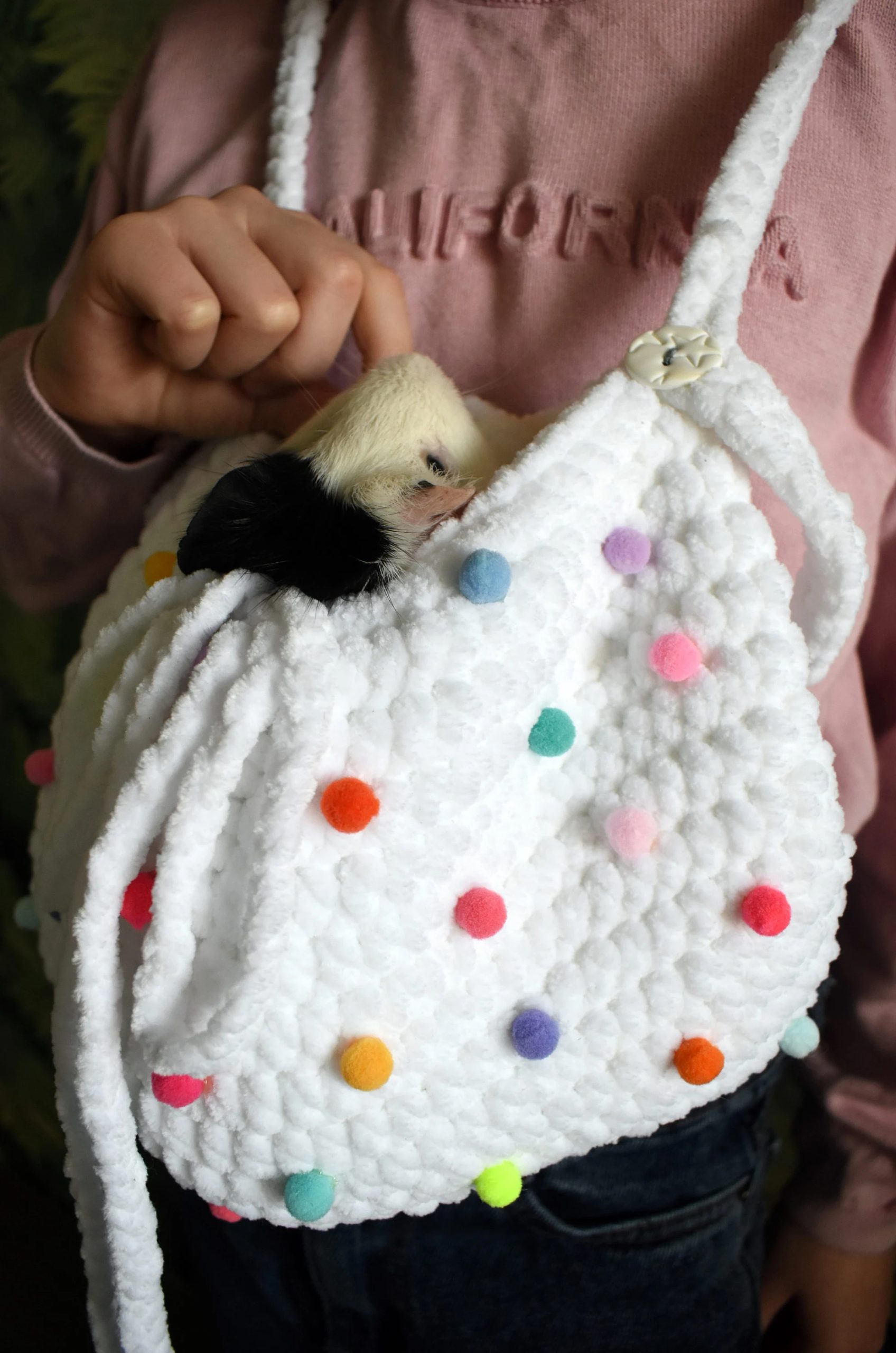 Rainbow Candy Knitted Pet Bag - Image 4
